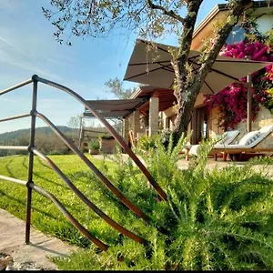 Villa A Casa Di Olivo, Castelnuovo Magra